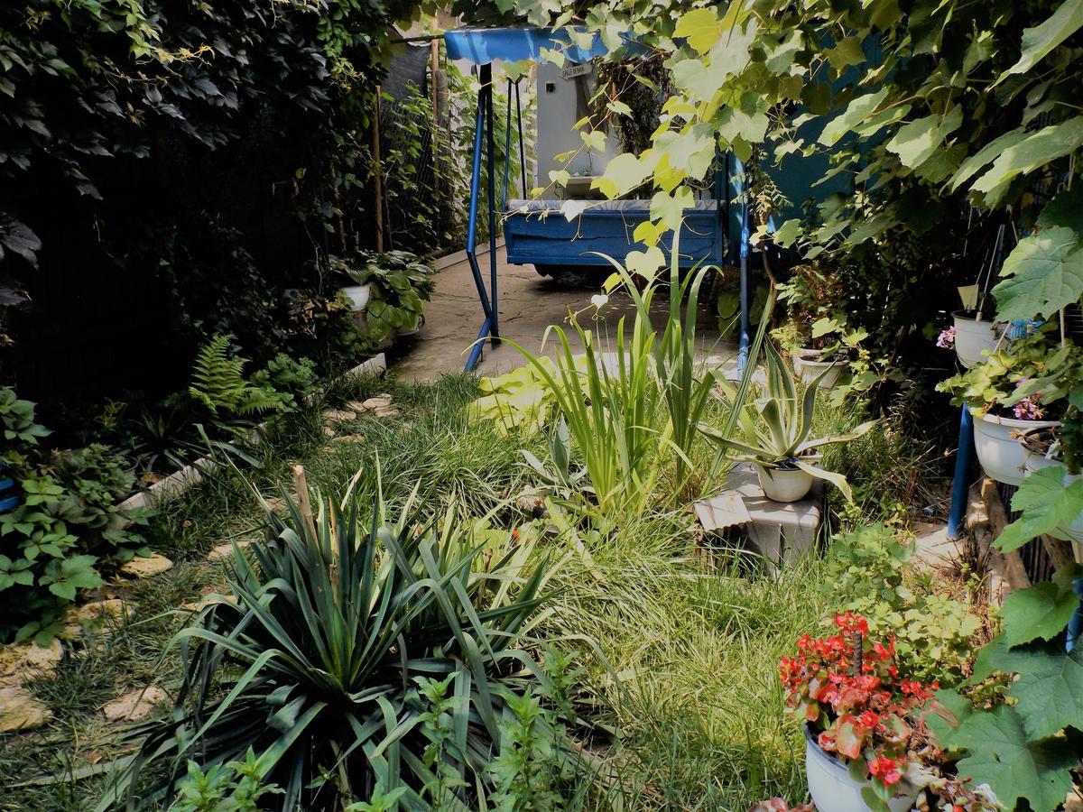 Casa Babica Guesthouse Costinesti Exterior photo